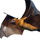 Bat on a transparent background